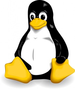 linux-logo-300x300.jpg
